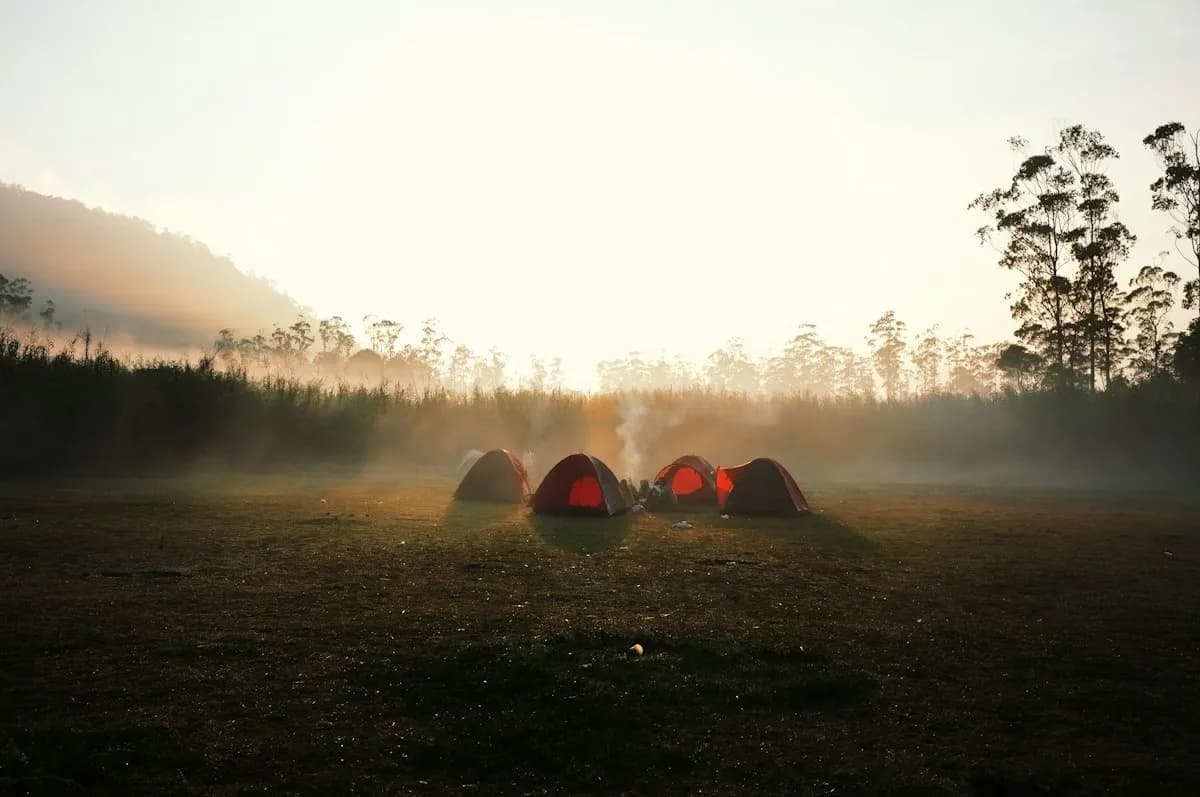 A group of tents at a campsite in the morning light